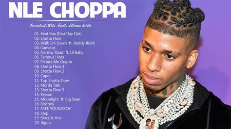 best nle choppa songs|Best of: NLE Choppa .